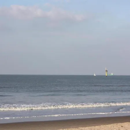 Sea Views In Heart Of Zoute Lejlighed
