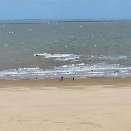 Lejlighed Sea Views In Heart Of Zoute