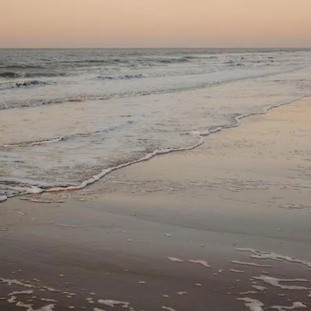 Sea Views In Heart Of Zoute Apartment *