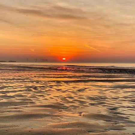 Sea Views In Heart Of Zoute Apartment Knokke-Heist
